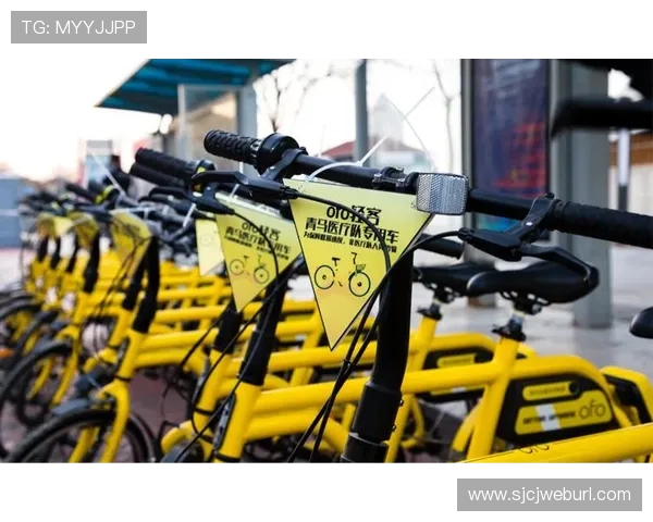 PG电子游艺摇钱树网投平台合作伙伴不断扩大推动行业共同发展